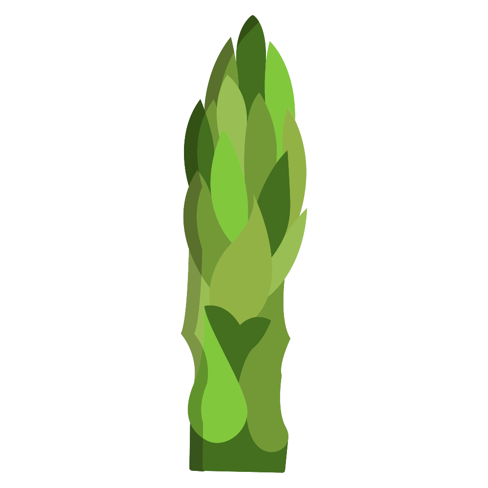 Spargel